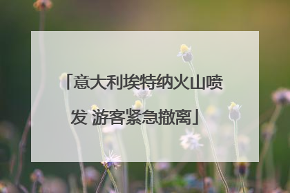 意大利埃特纳火山喷发 游客紧急撤离