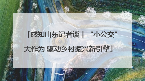 感知山东记者谈丨“小公交”大作为 驱动乡村振兴新引擎