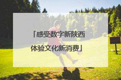 感受数字新陕西 体验文化新消费