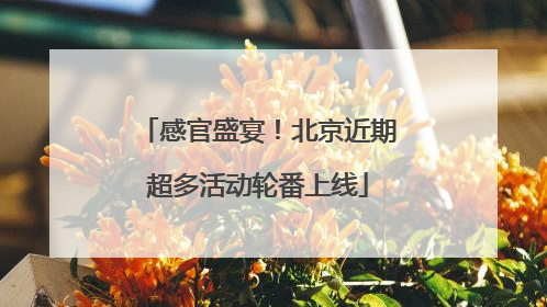 感官盛宴！北京近期超多活动轮番上线