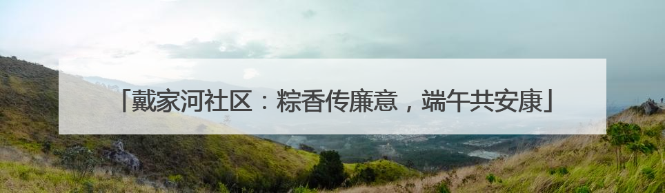 戴家河社区：粽香传廉意，端午共安康