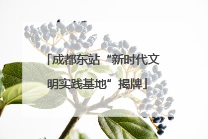 成都东站“新时代文明实践基地”揭牌