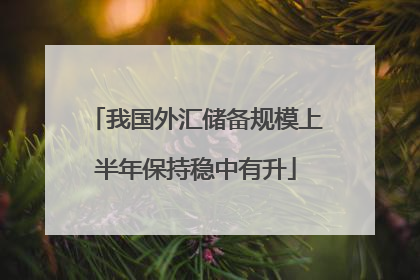 我国外汇储备规模上半年保持稳中有升