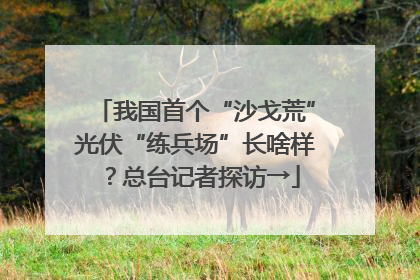 我国首个“沙戈荒”光伏“练兵场”长啥样？总台记者探访→