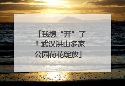 我想“开”了！武汉洪山多家公园荷花绽放