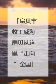 扇贝丰收！威海扇贝从这里“走向”全国