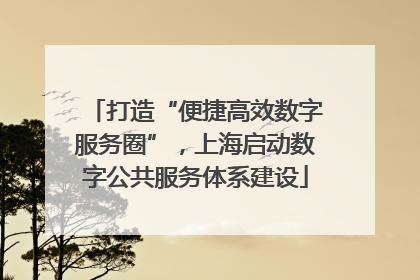 打造“便捷高效数字服务圈”，上海启动数字公共服务体系建设