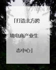 打造北方跨境电商产业生态中心