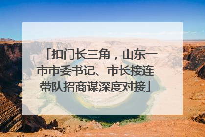 扣门长三角，山东一市市委书记、市长接连带队招商谋深度对接
