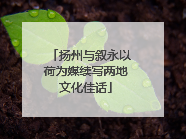 扬州与叙永以荷为媒续写两地文化佳话