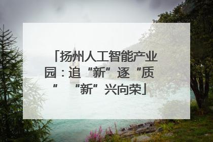 扬州人工智能产业园：追“新”逐“质” “新”兴向荣