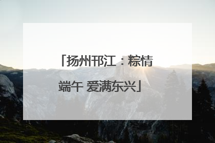 扬州邗江：粽情端午 爱满东兴