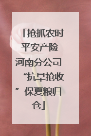抢抓农时 平安产险河南分公司“抗旱抢收”保夏粮归仓