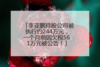 李亚鹏持股公司被执行约244万元，一个月前因欠税561万元被公告！