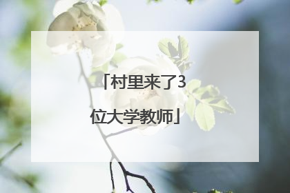 村里来了3位大学教师