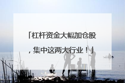 杠杆资金大幅加仓股，集中这两大行业！