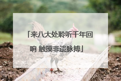 来八大处聆听千年回响 触摸非遗脉搏