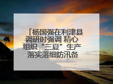 杨国强在利津县调研时强调 精心组织“三夏”生产 落实落细防汛备汛工作
