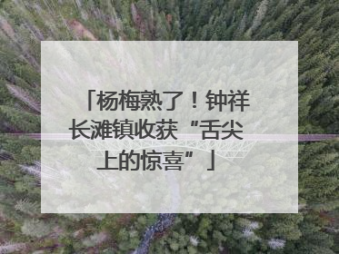 杨梅熟了！钟祥长滩镇收获“舌尖上的惊喜”