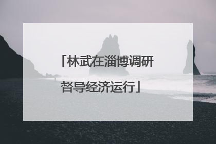 林武在淄博调研督导经济运行