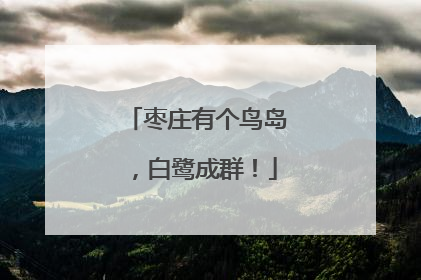 枣庄有个鸟岛，白鹭成群！