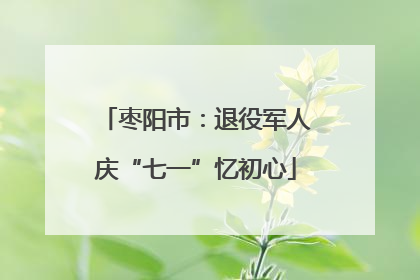 枣阳市：退役军人庆“七一”忆初心