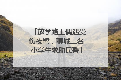 放学路上偶遇受伤夜鹭，聊城三名小学生求助民警