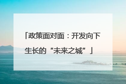 政策面对面：开发向下生长的“未来之城”