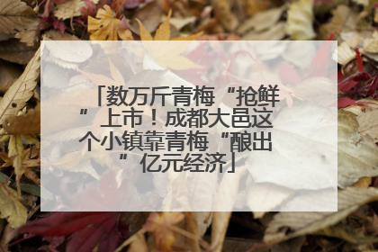 数万斤青梅“抢鲜”上市！成都大邑这个小镇靠青梅“酿出”亿元经济