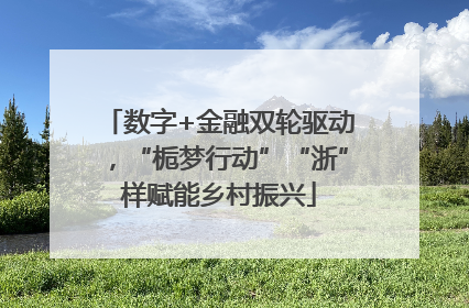 数字+金融双轮驱动，“栀梦行动”“浙”样赋能乡村振兴