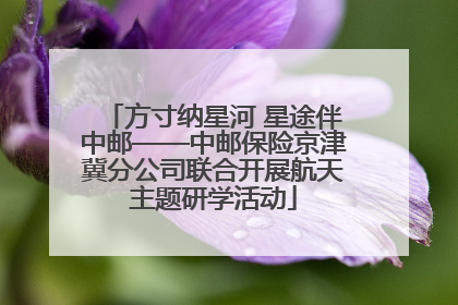 方寸纳星河 星途伴中邮——中邮保险京津冀分公司联合开展航天主题研学活动