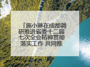 施小琳在成都调研推进省委十二届七次全会精神贯彻落实工作 共同推动文旅深度融合高质量发展 加快打造支柱产业民生产业幸福产业