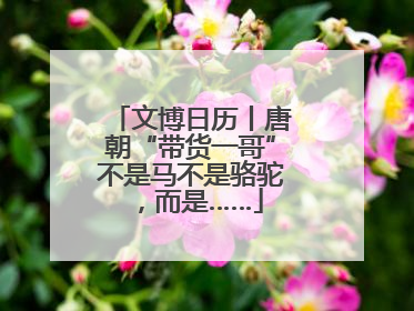 文博日历丨唐朝“带货一哥”不是马不是骆驼，而是……