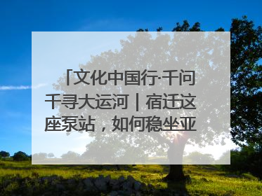 文化中国行·千问千寻大运河｜宿迁这座泵站，如何稳坐亚洲第一宝座？