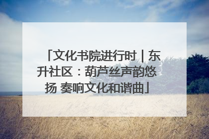 文化书院进行时｜东升社区：葫芦丝声韵悠扬 奏响文化和谐曲