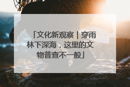 文化新观察｜穿雨林下深海，这里的文物普查不一般