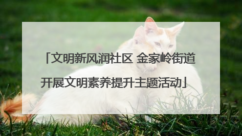 文明新风润社区 金家岭街道开展文明素养提升主题活动