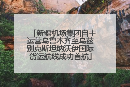 新疆机场集团自主运营乌鲁木齐至乌兹别克斯坦纳沃伊国际货运航线成功首航