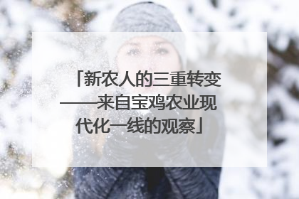 新农人的三重转变——来自宝鸡农业现代化一线的观察