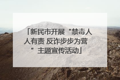 新民市开展“禁毒人人有责 反诈步步为营”主题宣传活动