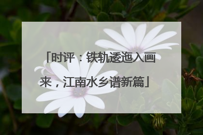 时评：铁轨逶迤入画来，江南水乡谱新篇