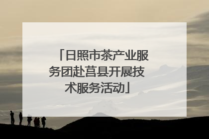 日照市茶产业服务团赴莒县开展技术服务活动