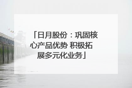 日月股份：巩固核心产品优势 积极拓展多元化业务