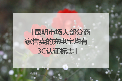 昆明市场大部分商家售卖的充电宝均有3C认证标志
