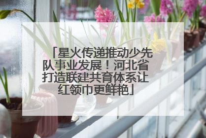 星火传递推动少先队事业发展！河北省打造联建共育体系让红领巾更鲜艳