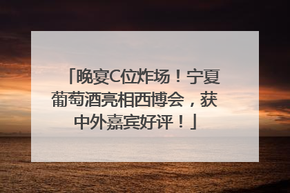 晚宴C位炸场！宁夏葡萄酒亮相西博会，获中外嘉宾好评！
