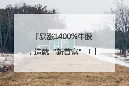 暴涨1400%牛股，造就“新首富”！