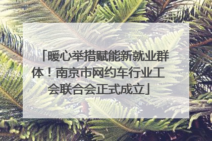 暖心举措赋能新就业群体！南京市网约车行业工会联合会正式成立