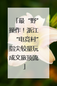 最“野”操作！浙江“电竞村”指尖较量玩成文旅顶流