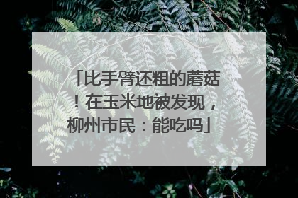 比手臂还粗的蘑菇！在玉米地被发现，柳州市民：能吃吗
